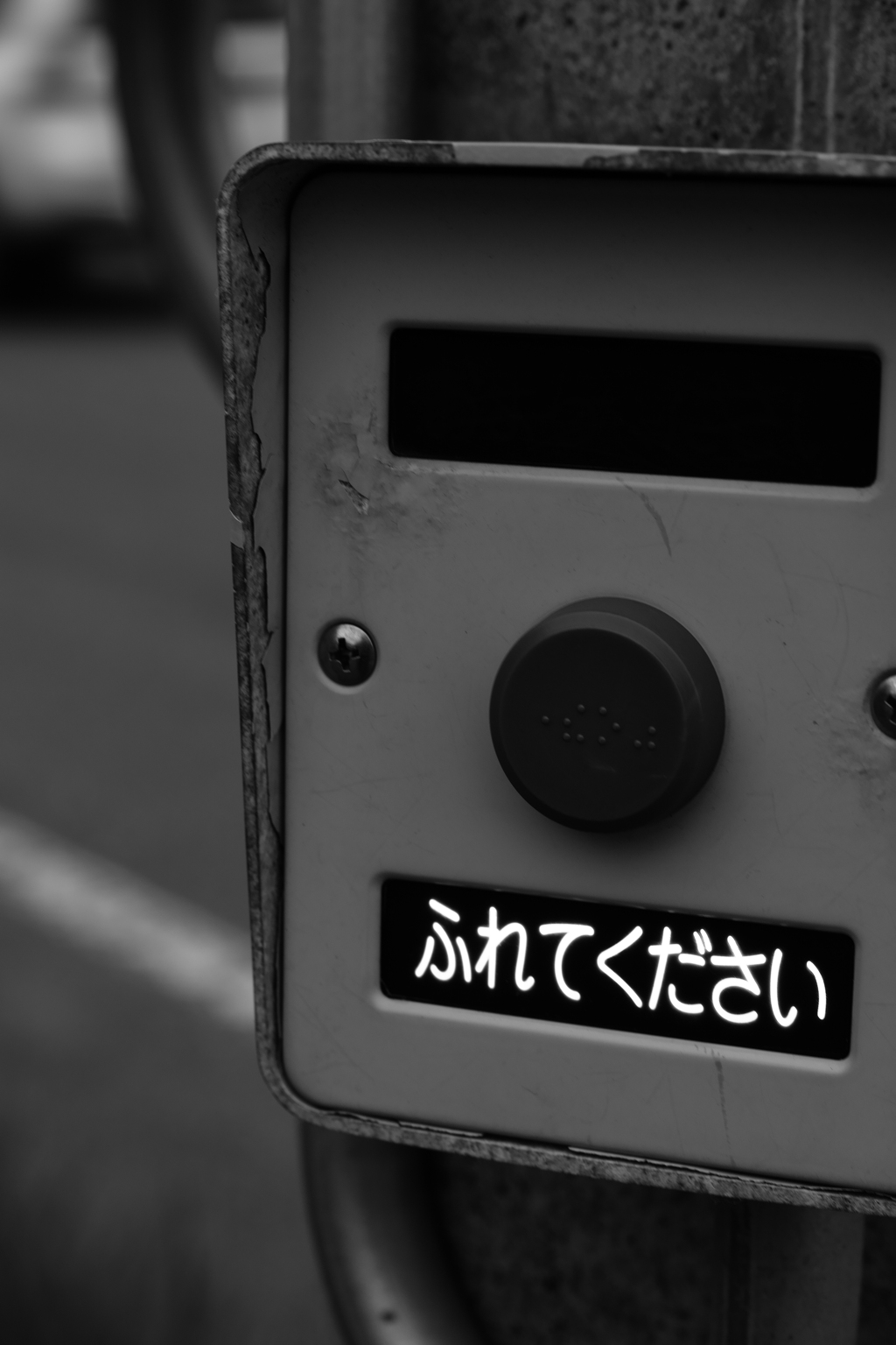 ふれてください　なぜか優しい感じに見えた