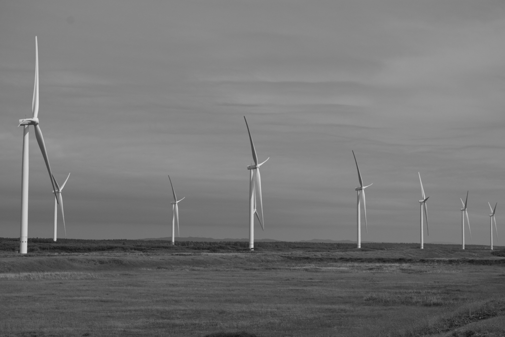 風車群を見たくて、はてなく続きそうな道を走った。