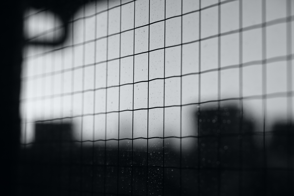 日曜日。歳を重ねても雨降りの休日は、少し損をした気分になります。