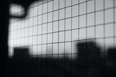 日曜日。歳を重ねても雨降りの休日は、少し損をした気分になります。