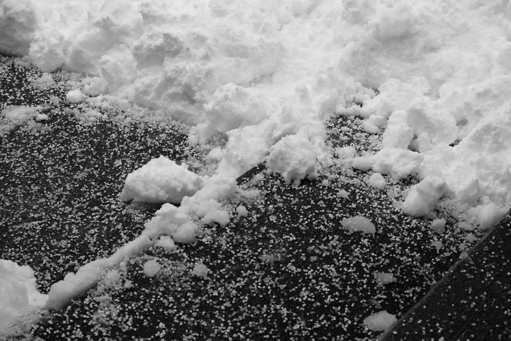 また雪は降る　それでもここに居る　理由を考えたことはない