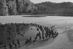 ひなたぼっこ 太陽は皆にあたたかい