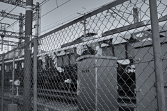 三連休 あちこち賑やか。電車にでも乗って何処かに行きたくなっちゃう。