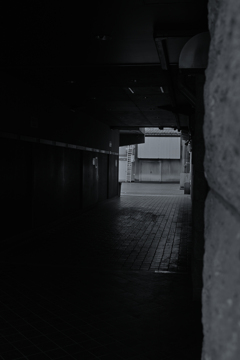 その先を抜けると知らない世界が待っている　なんて想像を巡らせて