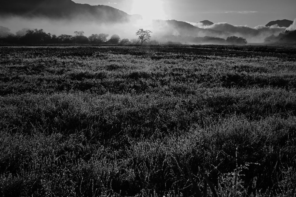 降りてくる光を浴びたくて 駆け寄ってみてもそれはまだ先にいる