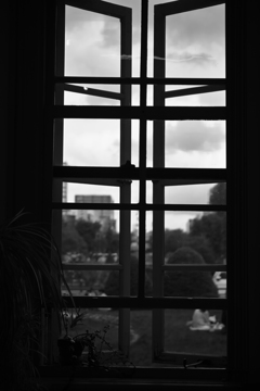 窓の向こうには、