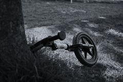 おいてかないでね