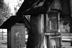 公園に本。ただ関心。