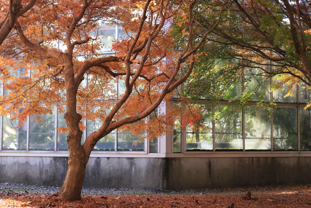 6252D80F-371D-4E6F-82F2-6DCE5E62552EIMG_