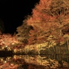 岩屋堂公園2025 紅葉ライトアップ1