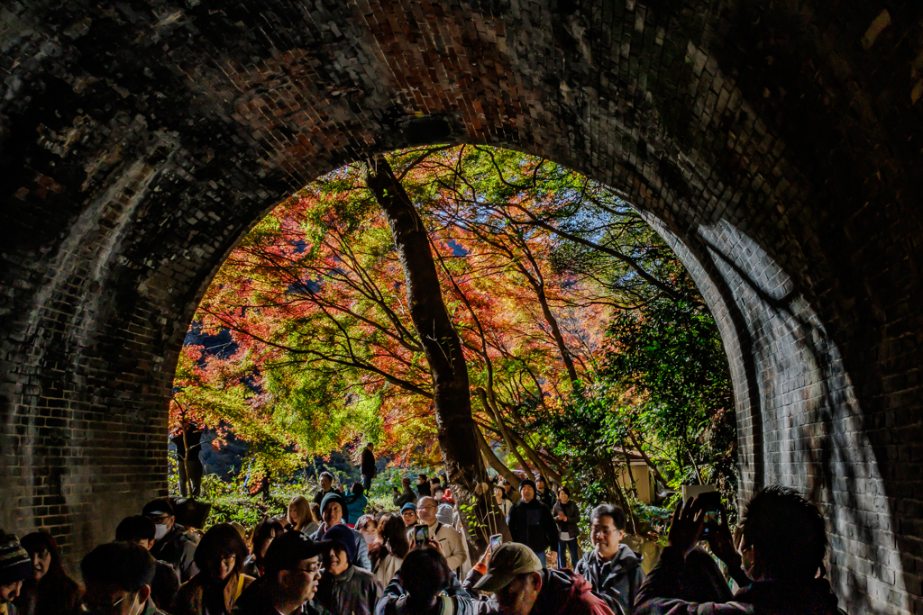 愛岐トンネル　トンネル越しの紅葉