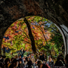 愛岐トンネル　トンネル越しの紅葉