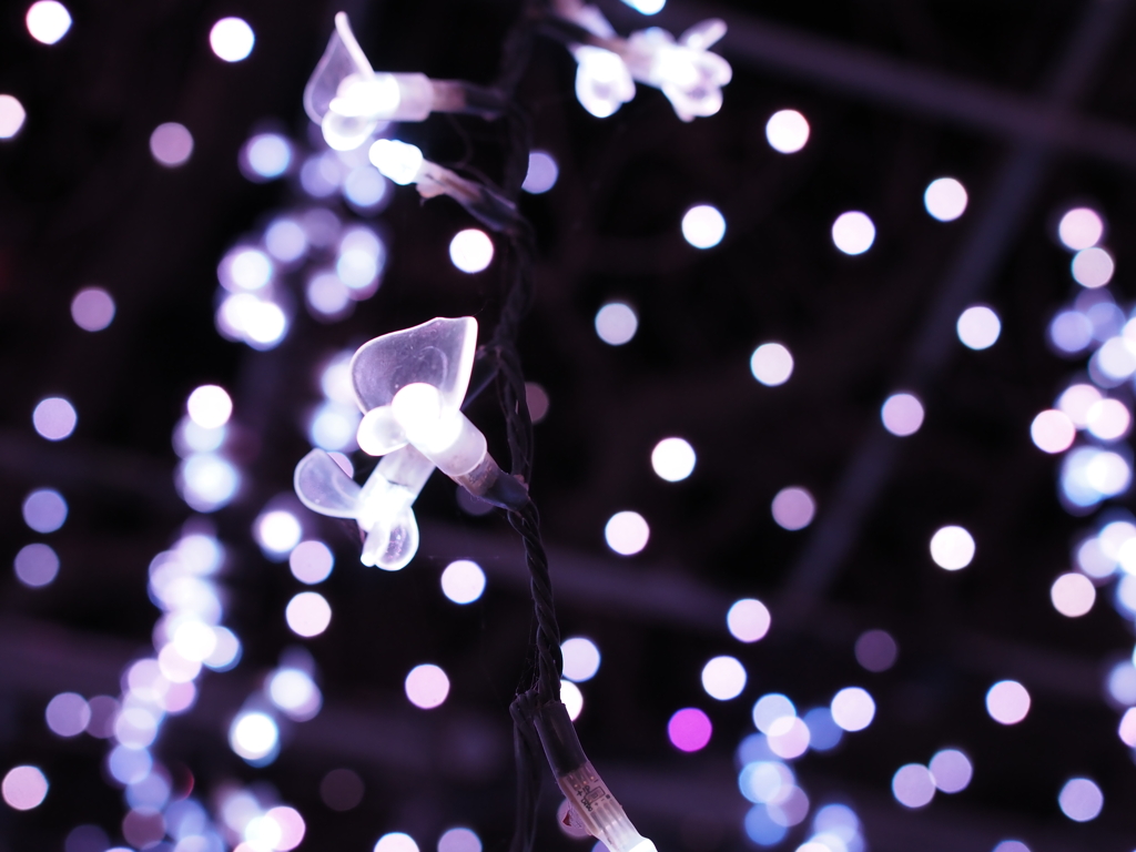 お？って思えた写真