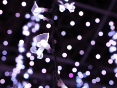 お？って思えた写真