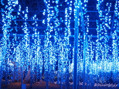 イルミネーション