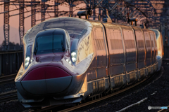 こまち29号＋はやぶさ29号＠那須塩原駅