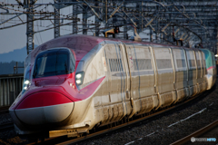 こまち35号＋はやぶさ35号＠那須塩原駅