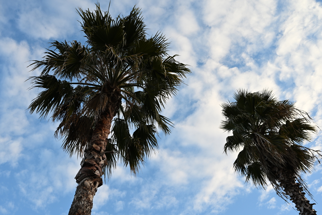 お散歩途中の風景_０３