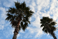 お散歩途中の風景_０３