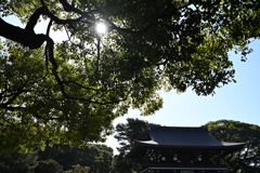 初詣：明治神宮_１８