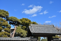 旧渋沢邸「中の家」_１９