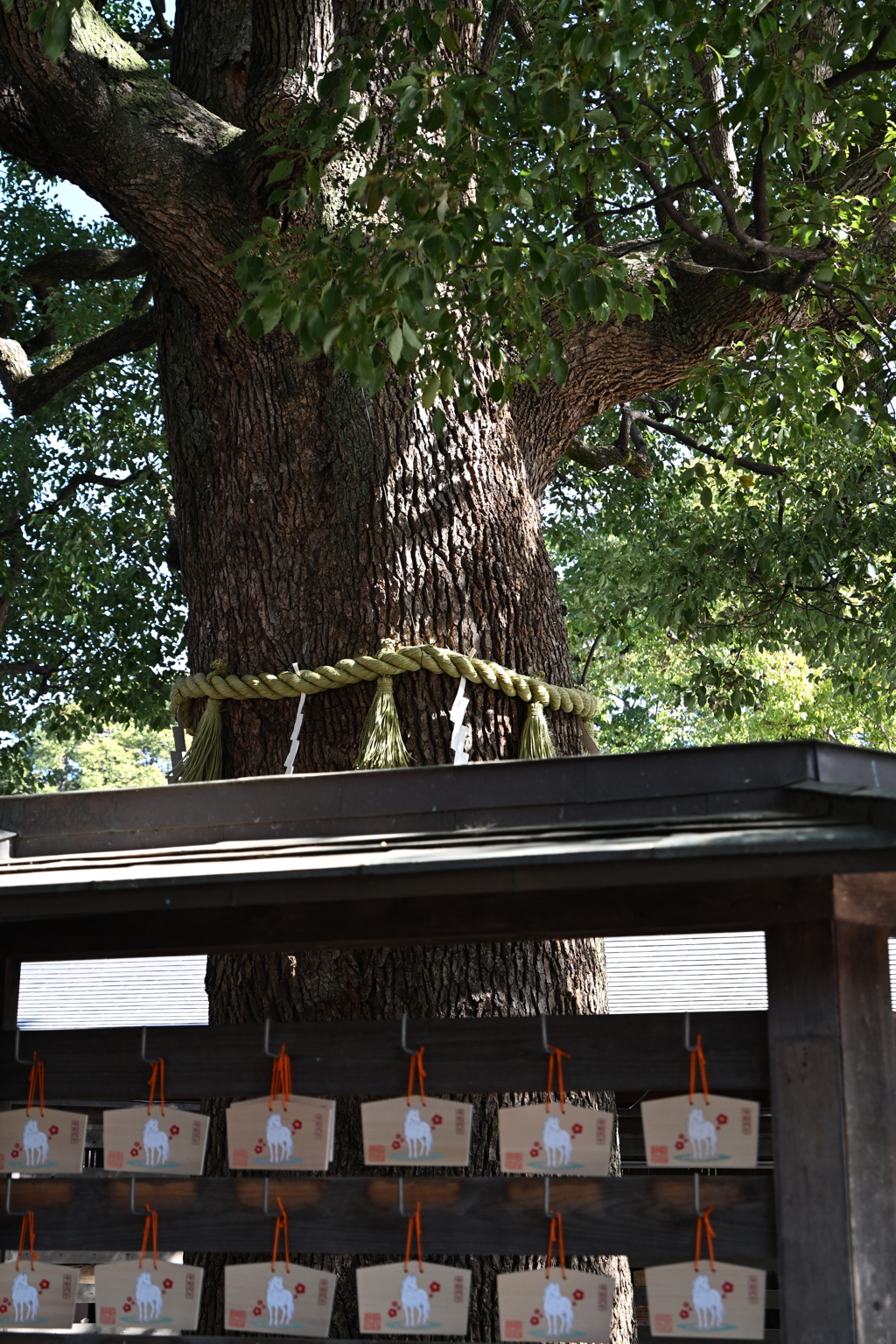 初詣：明治神宮_１６