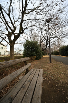 お散歩途中の公園_１９