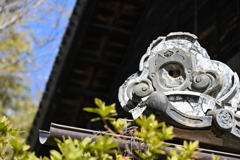 旧渋沢邸「中の家」_０７