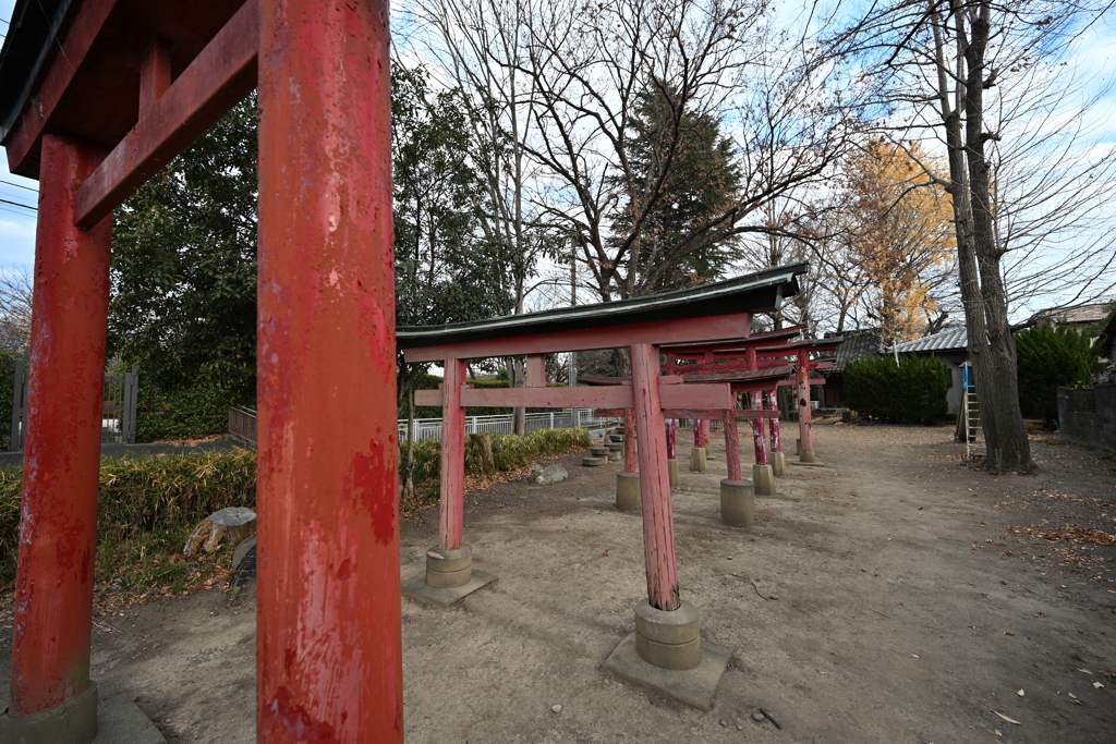 お散歩途中の鳥居_０８