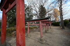 お散歩途中の鳥居_０８