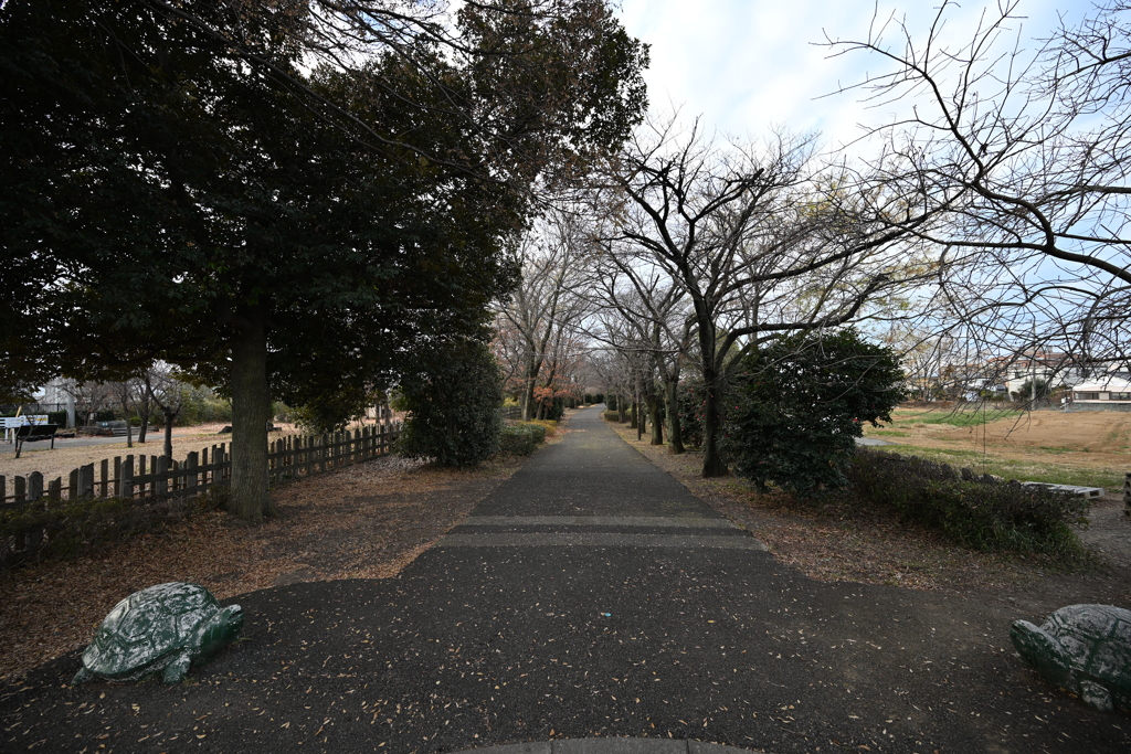 お散歩途中の公園_０５