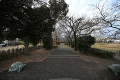 お散歩途中の公園_０５