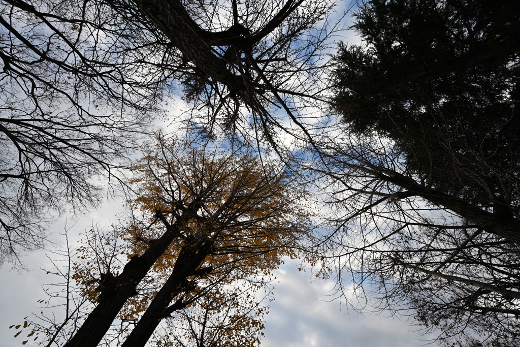 お散歩途中の公園_０９
