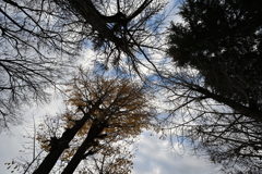 お散歩途中の公園_０９