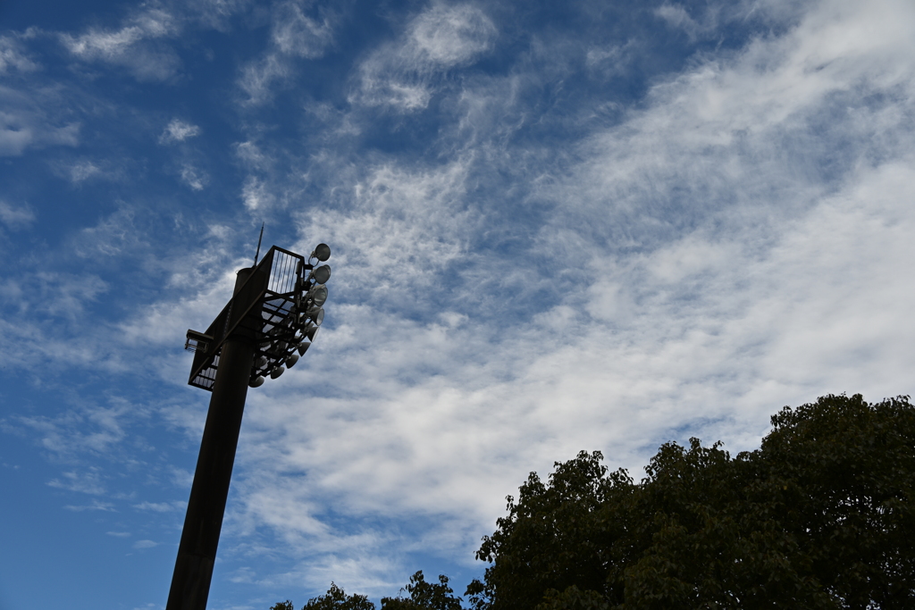 発表会会場付近の風景_２０