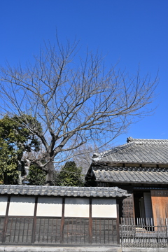 旧渋沢邸「中の家」_１６