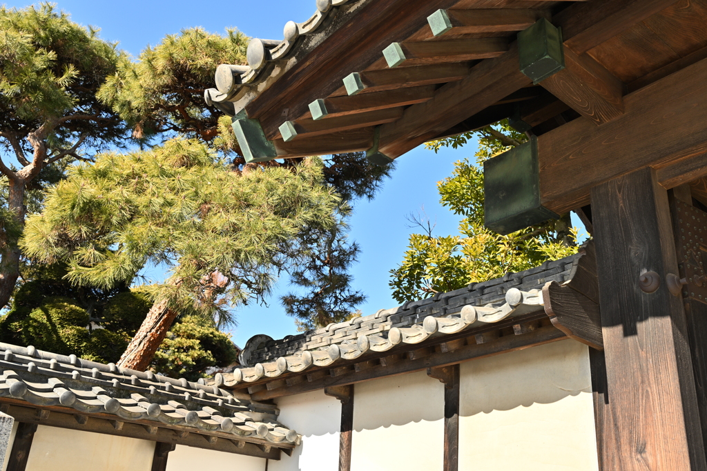 旧渋沢邸「中の家」_１４