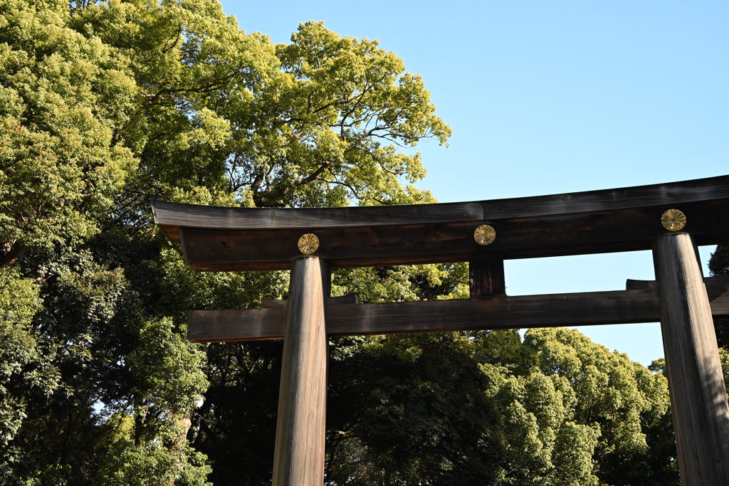 初詣：明治神宮_２０