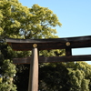 初詣：明治神宮_２０