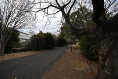 お散歩途中の公園_０７