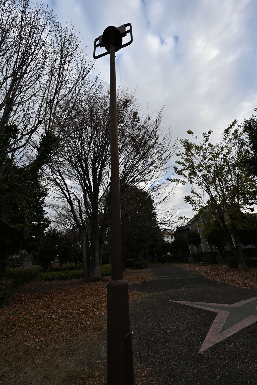 お散歩途中の公園_１３