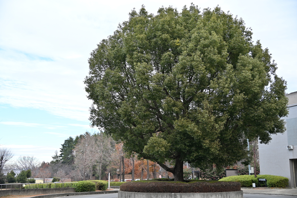 発表会会場周辺の風景_０４