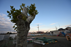 お散歩途中の風景_０２