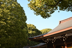 初詣：明治神宮_１５