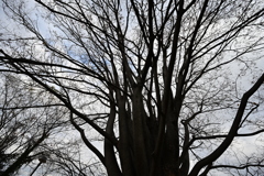 お散歩途中の公園_１５