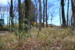 発表会会場周辺の風景_０８