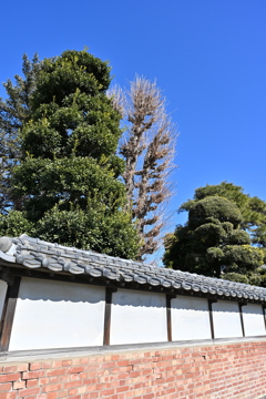 旧渋沢邸「中の家」_１８