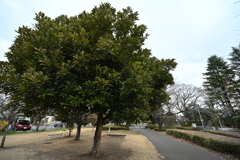 お散歩途中の公園_１６