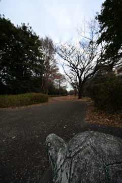 お散歩途中の公園_１２