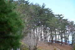 発表会会場付近の風景_１６